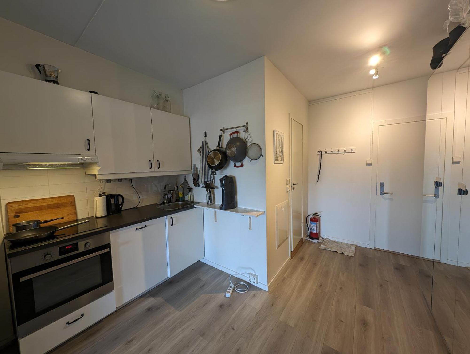 Spacious And Cozy Study Apartment With Balcony Oslo Extérieur photo